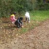 20170926_104400[1]M